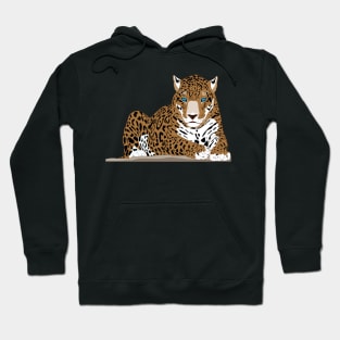 Face of a leopard Hoodie